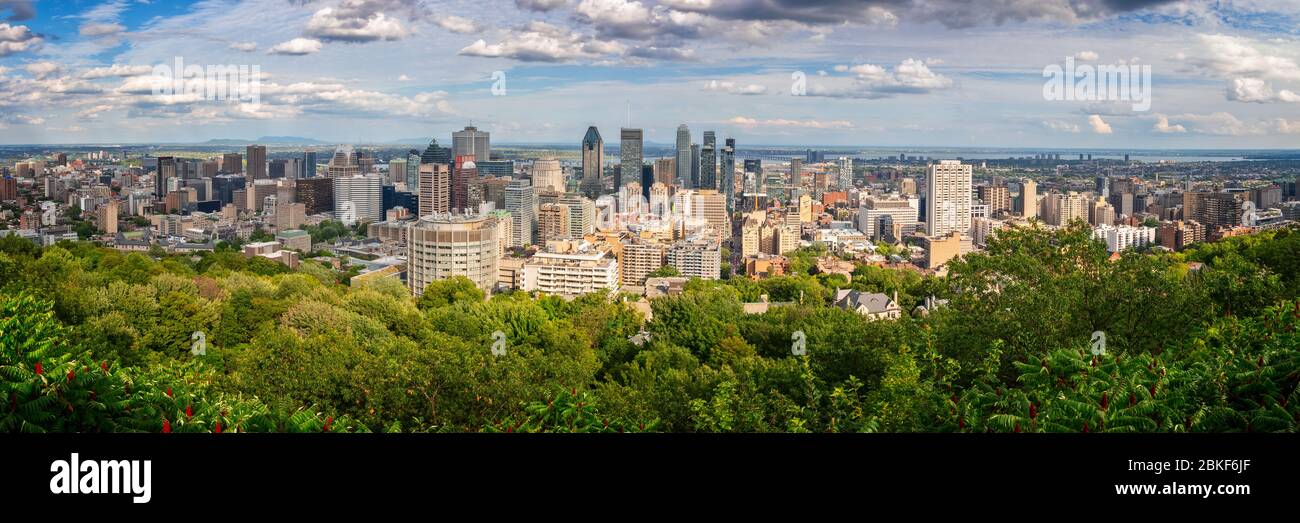 Panorama von Montreal Innenstadt. Luftaufnahme der Skyline der Stadt vom Mount Royal im Sommer in Montreal, Quebec, Kanada Stockfoto