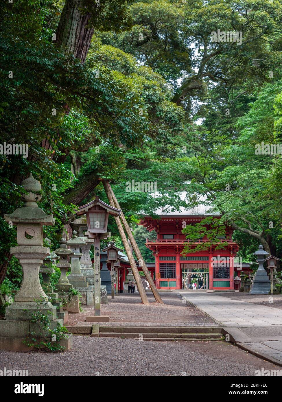 Romon Tor und Steinlaternen, Kashima Jingu Schrein und Wald, Kashima, Japan Stockfoto