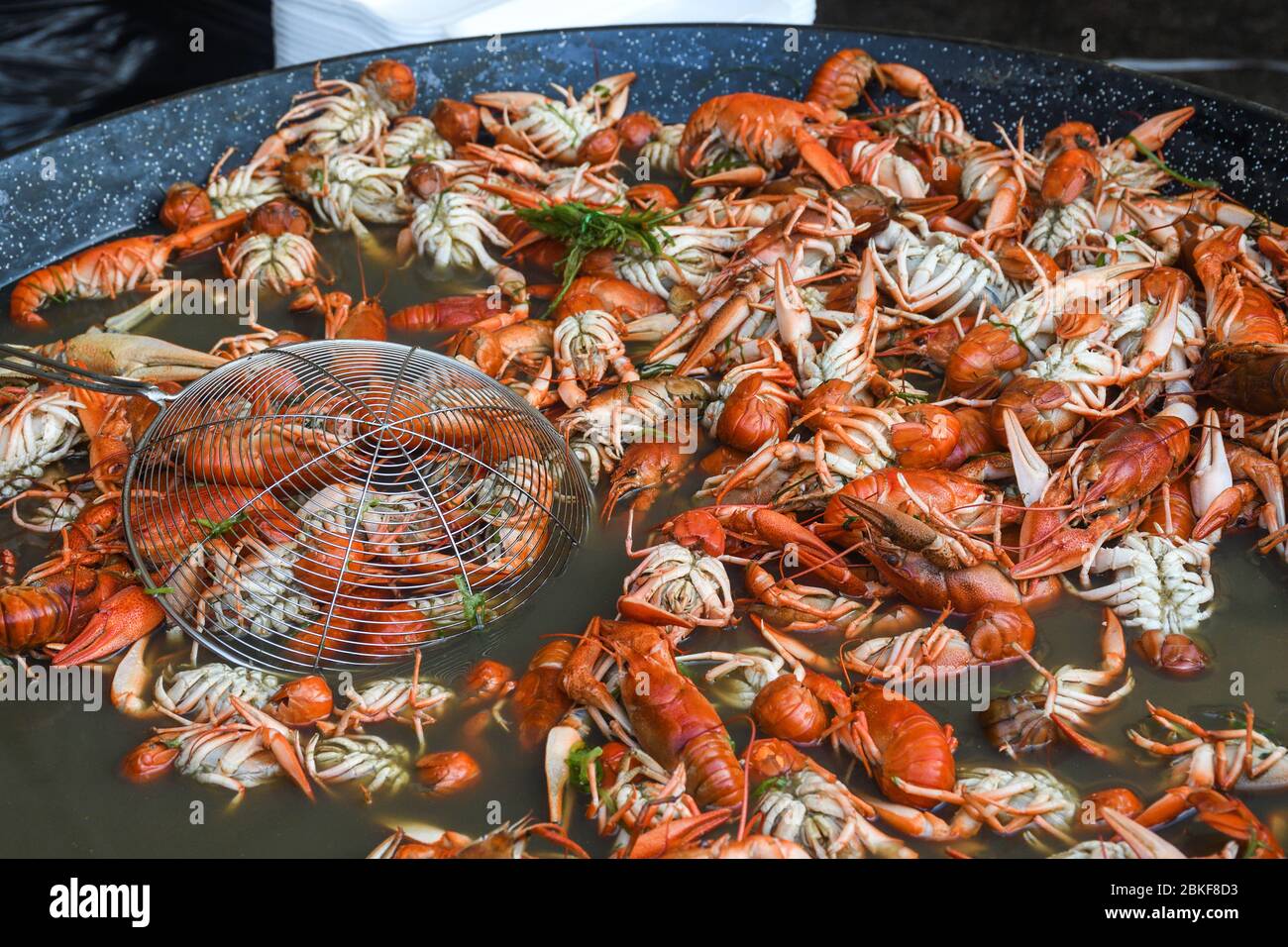 Gekochter Krabbenfisch, gebratener Krabbenfisch, Langusten étouffée, Krabbenbeignets. Krebse oder Krabben, Krabbeltiere während des Fischmarkt Street Food Festivals. Kochen Stockfoto