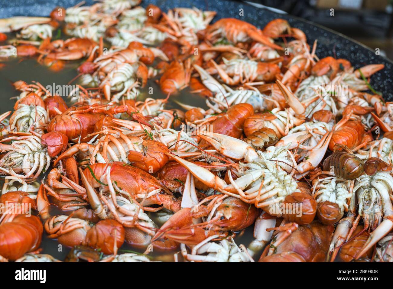 Gekochter Krabbenfisch, gebratener Krabbenfisch, Langusten étouffée, Krabbenbeignets. Krebse oder Krabben, Krabbeltiere während des Fischmarkt Street Food Festivals. Kochen Stockfoto