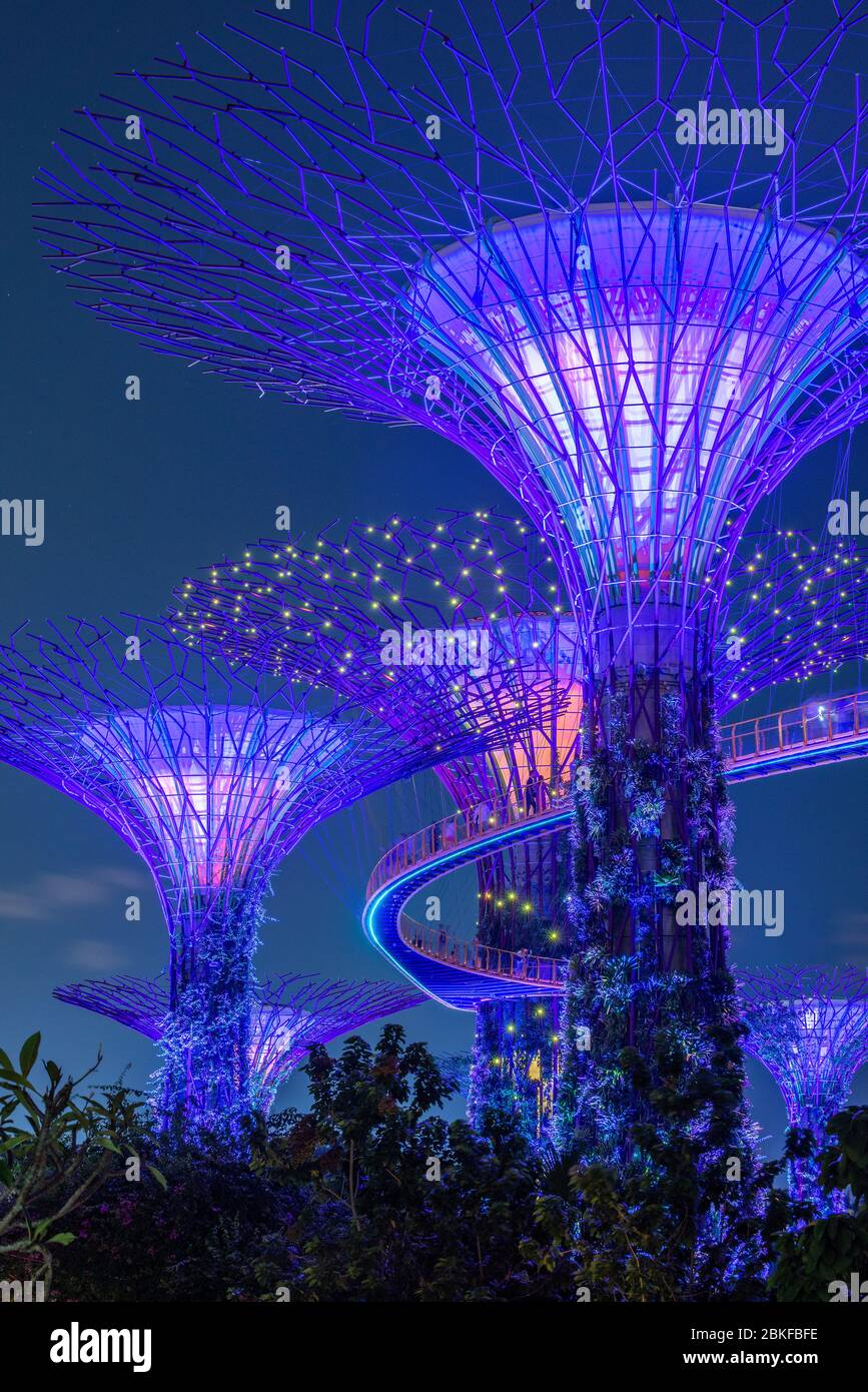 Supertrees, Gardens by the Bay, Singapur, Stockfoto