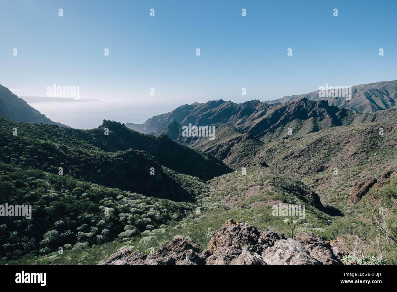 Luftaufnahme von Teneriffa mit Blick auf ein grünes Bergtal mit Meerblick Stockfoto