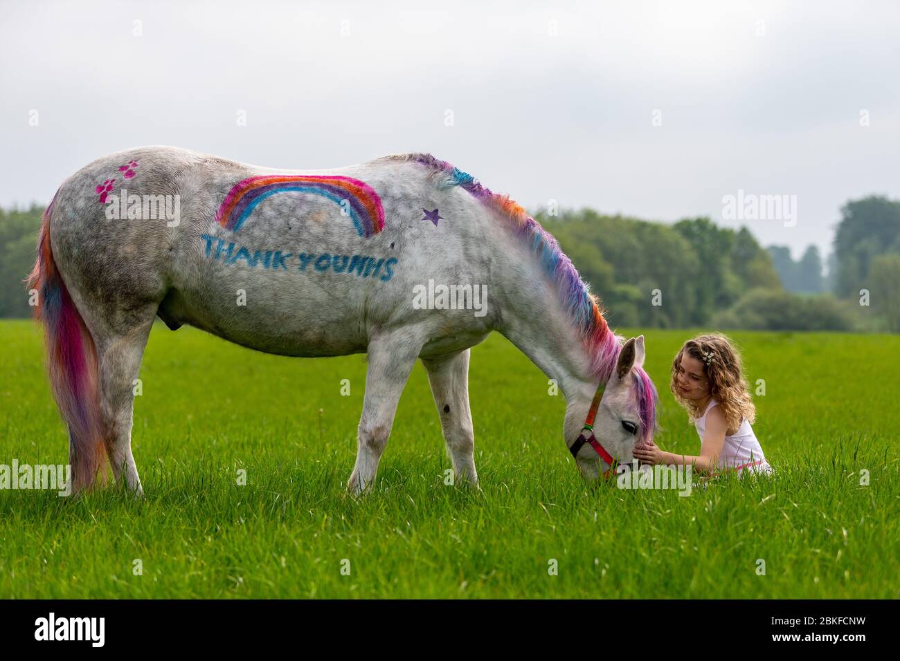 Bridgnorth, Shropshire, Großbritannien. Mai 2020. Die 8-jährige Amber Price aus Bridgnorth mit ihrem New Forest Pony, Bär. Bear wurde mit einem "Dankeschön" an den NHS mit spezieller Ponyfarbe bemalt. Quelle: Peter Lopeman/Alamy Live News Stockfoto