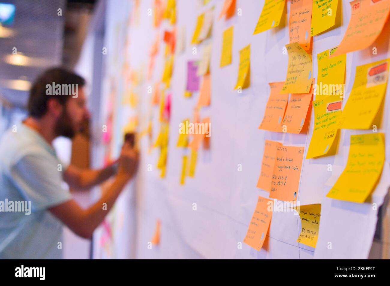 Ein IT-Mitarbeiter, der seine Aufgaben auf dem Kanban-Board verfolgt. Die Verwendung von Kanban-Boards zur Aufgabensteuerung ist eine Art agile Entwicklungsmethodik. Stockfoto