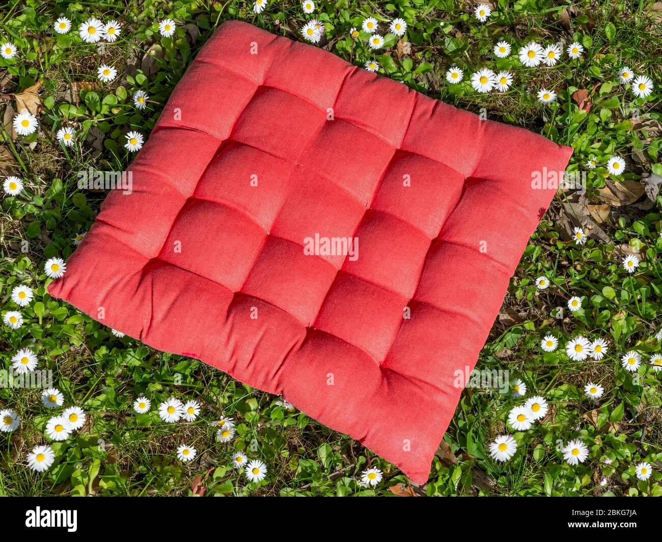 Ein rotes quadratisches Stoffkissen zwischen den Gänseblümchen einer Wiese an einem sonnigen Tag Stockfoto