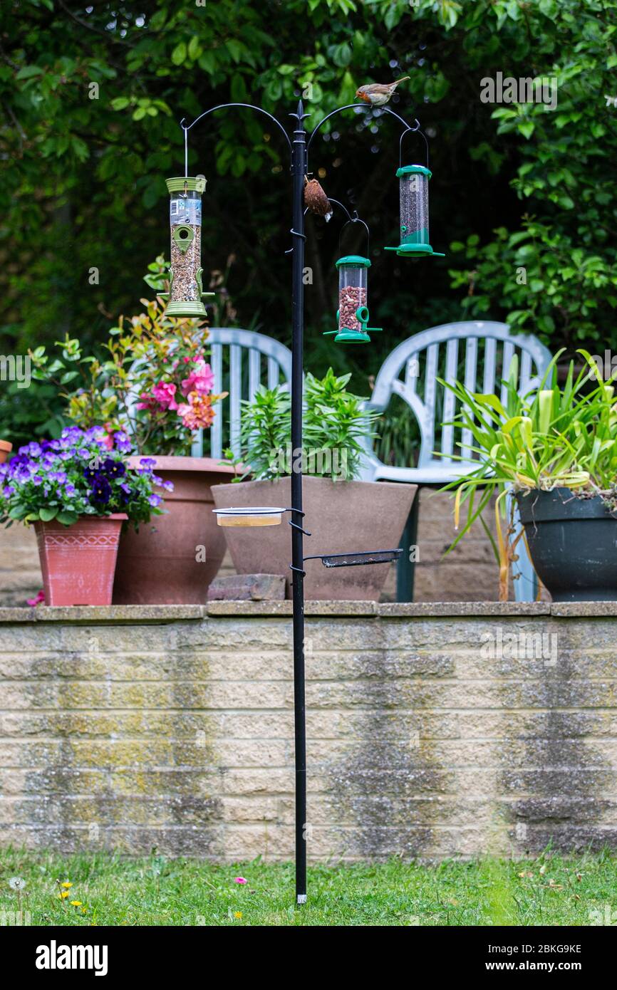 Eine Vogelfütterungsstation mit verschiedenen Futterhäuschen. Oben thront ein Robin. Stockfoto