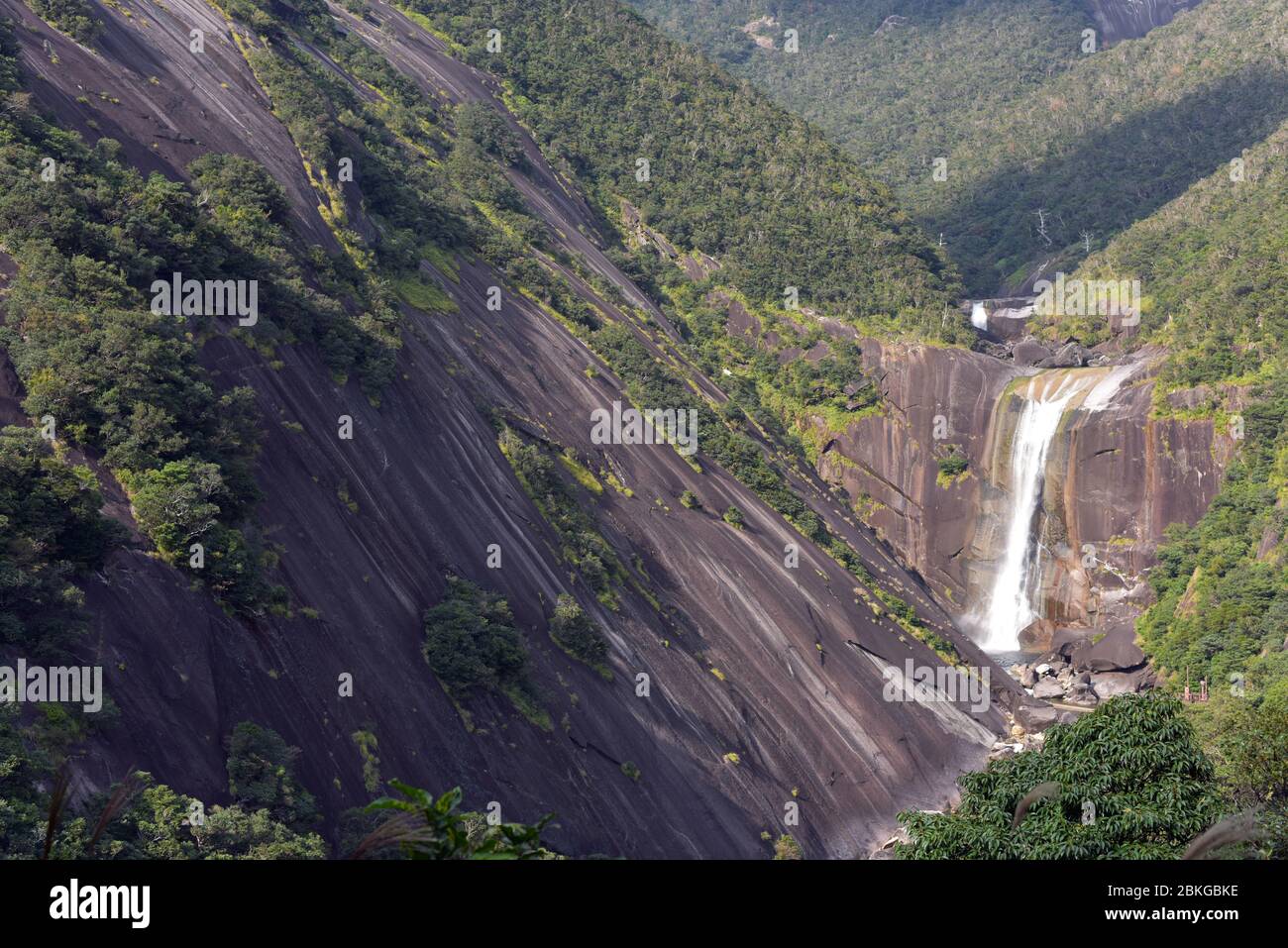 Senpiro Wasserfall, Natur, Yakushima Insel, Japan Stockfoto