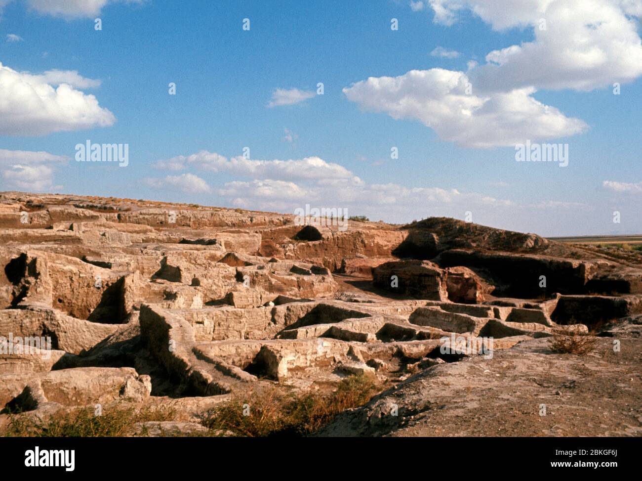 Jinsiy olat uchun BDSM atributlari