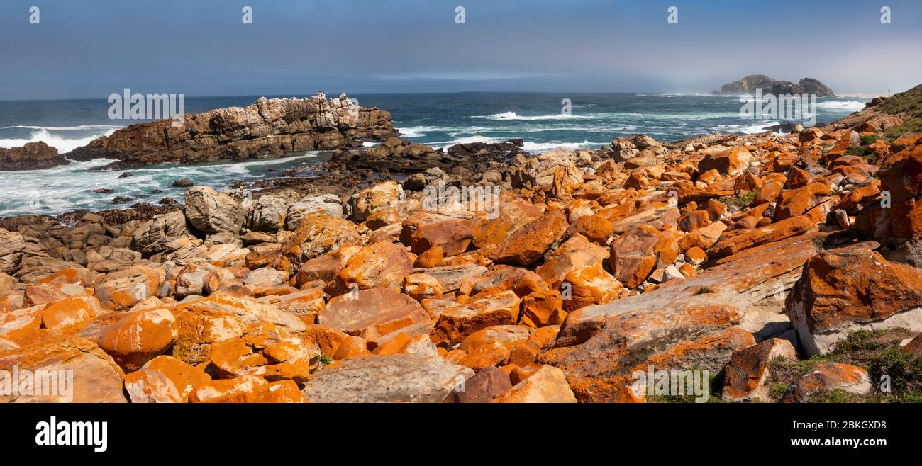 Südafrika, Westkap, Plettenberg Bay, Robberg Nature Reserve, felsige Küste in Richtung der Insel, mit Wellen in krachenden, Panorama Stockfoto