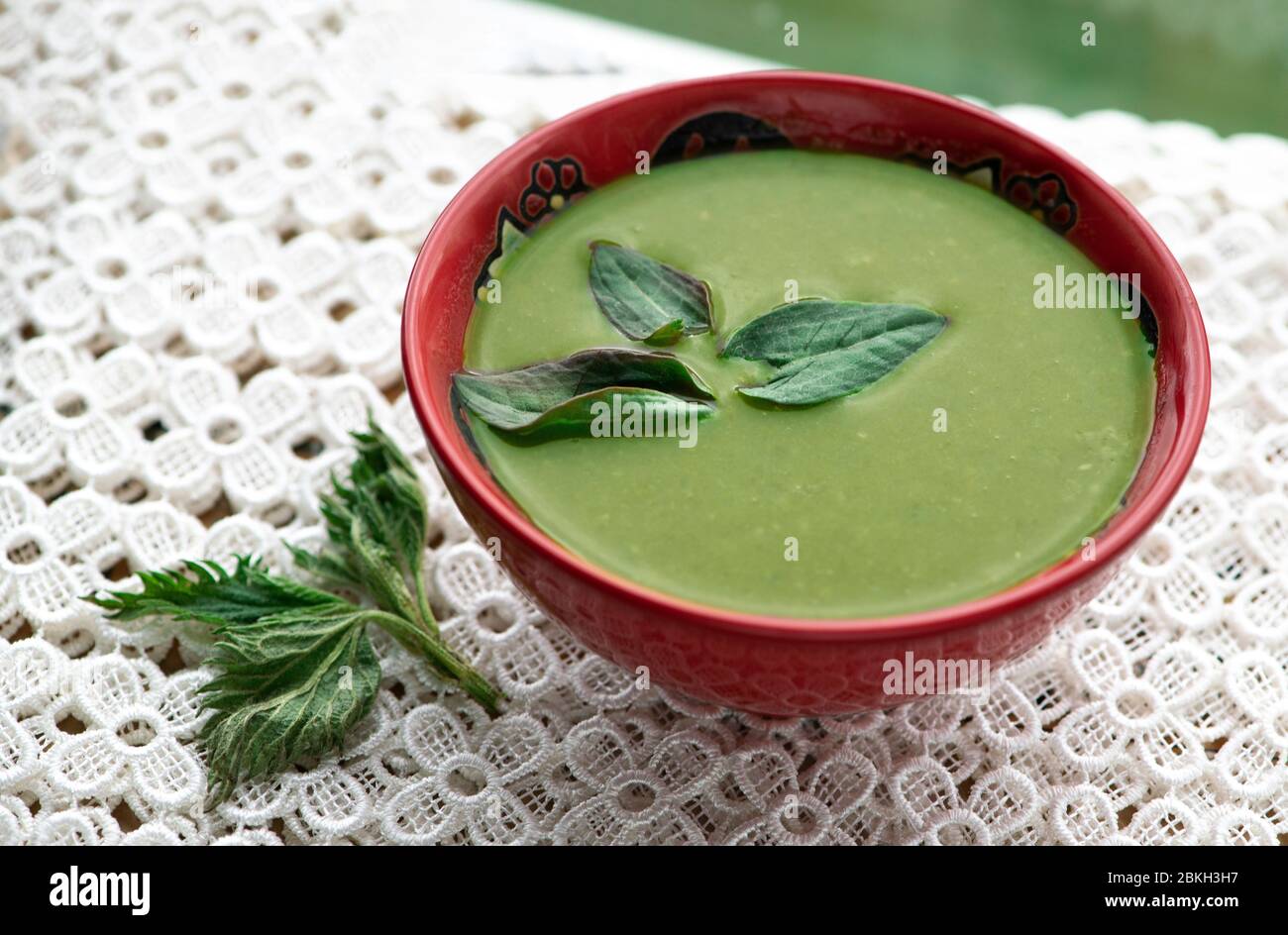 Gesunde Suppe von Gemeinen Sauerampfer oder Gartensaurel (Rumex acetosa, ist ein mehrjähriges Kraut in der Familie Polygonacea), oft einfach als Sauerampfer. Leckeres Delikatessen Stockfoto