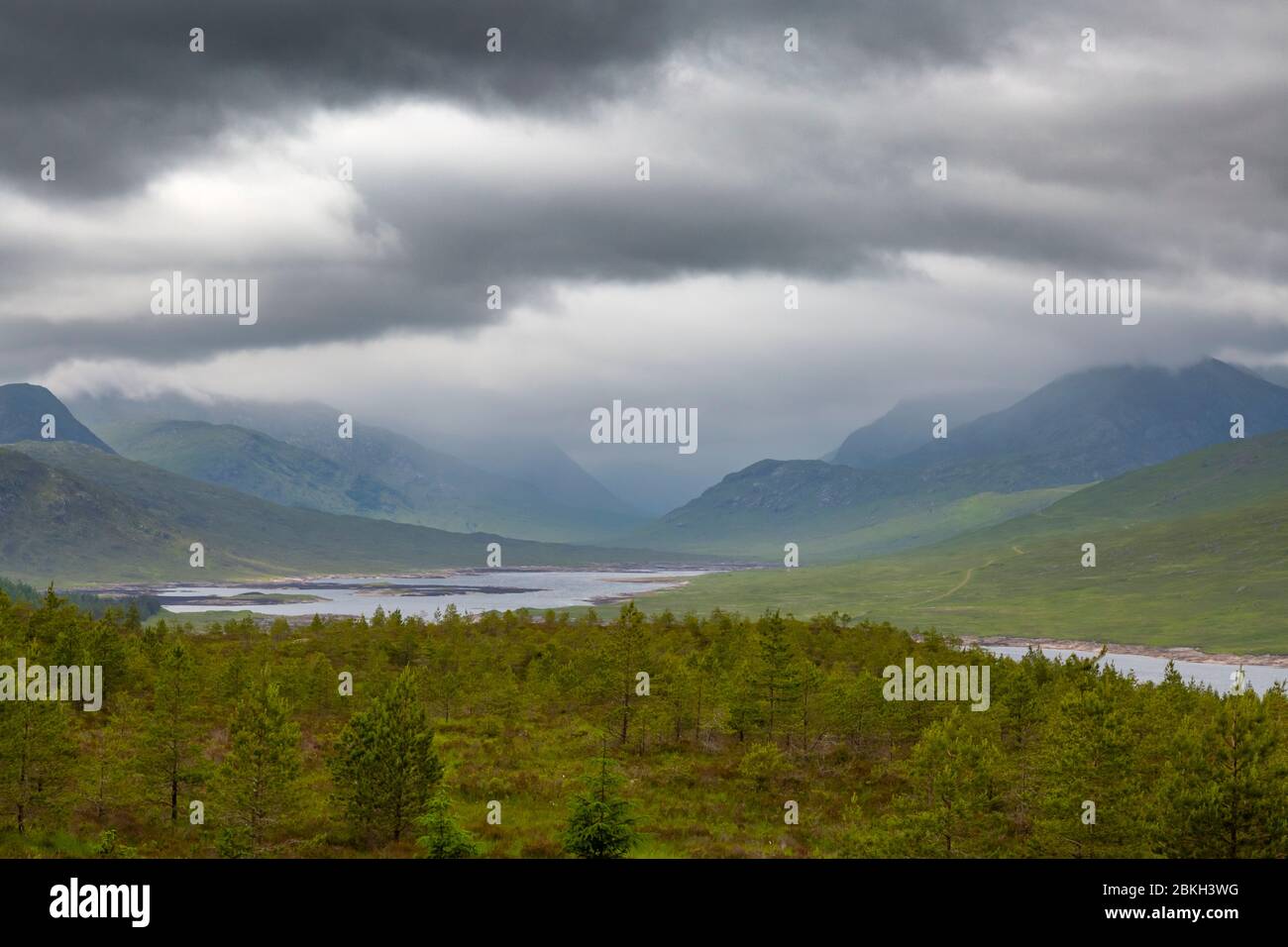 Stimmungsvolle Landschaft nahe Loch Ness, schottische Highlands, Schottland Stockfoto