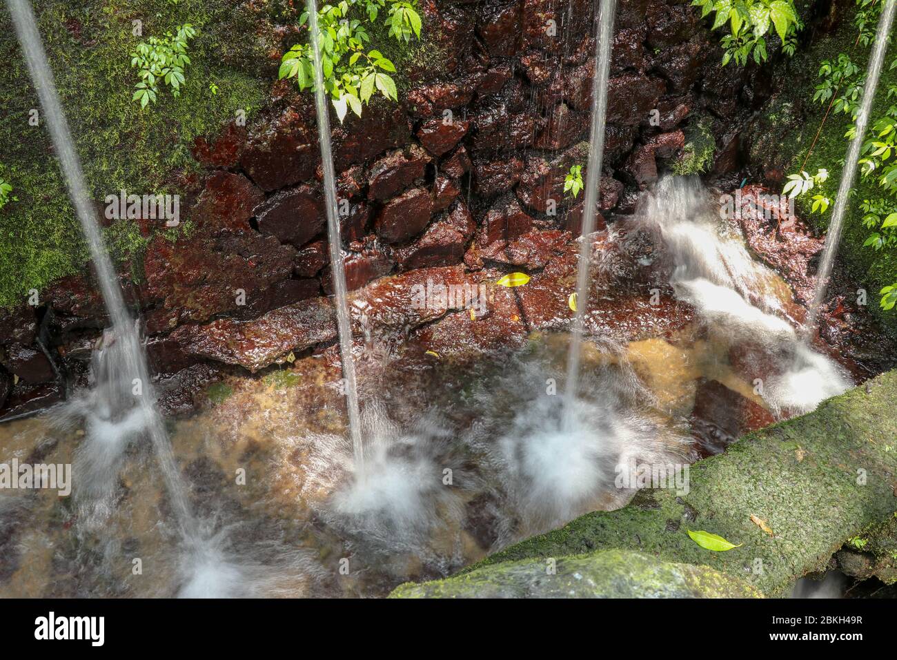 Heilige Wasserquellen im Pakerisan Tal am Grabkomplex Tampaksiring. Gunung Kawi, Bali, Indonesien. Opfer an die Götter auf dem Altar. Ich Stockfoto