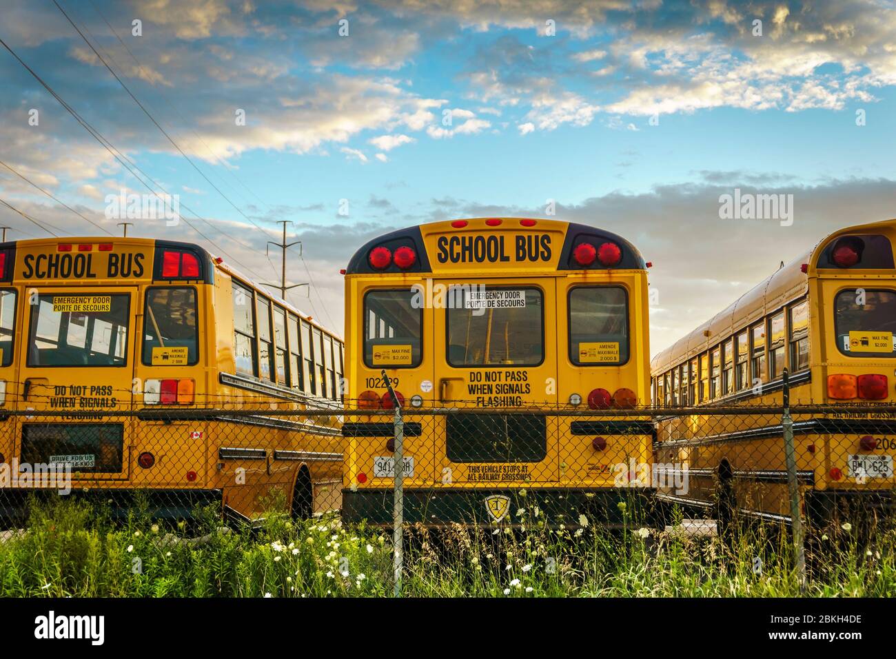Toronto, Kanada, Aug 2015 - Schulbusse in Reihen auf einem eingezäunten Parkplatz während der Sommerferien Stockfoto
