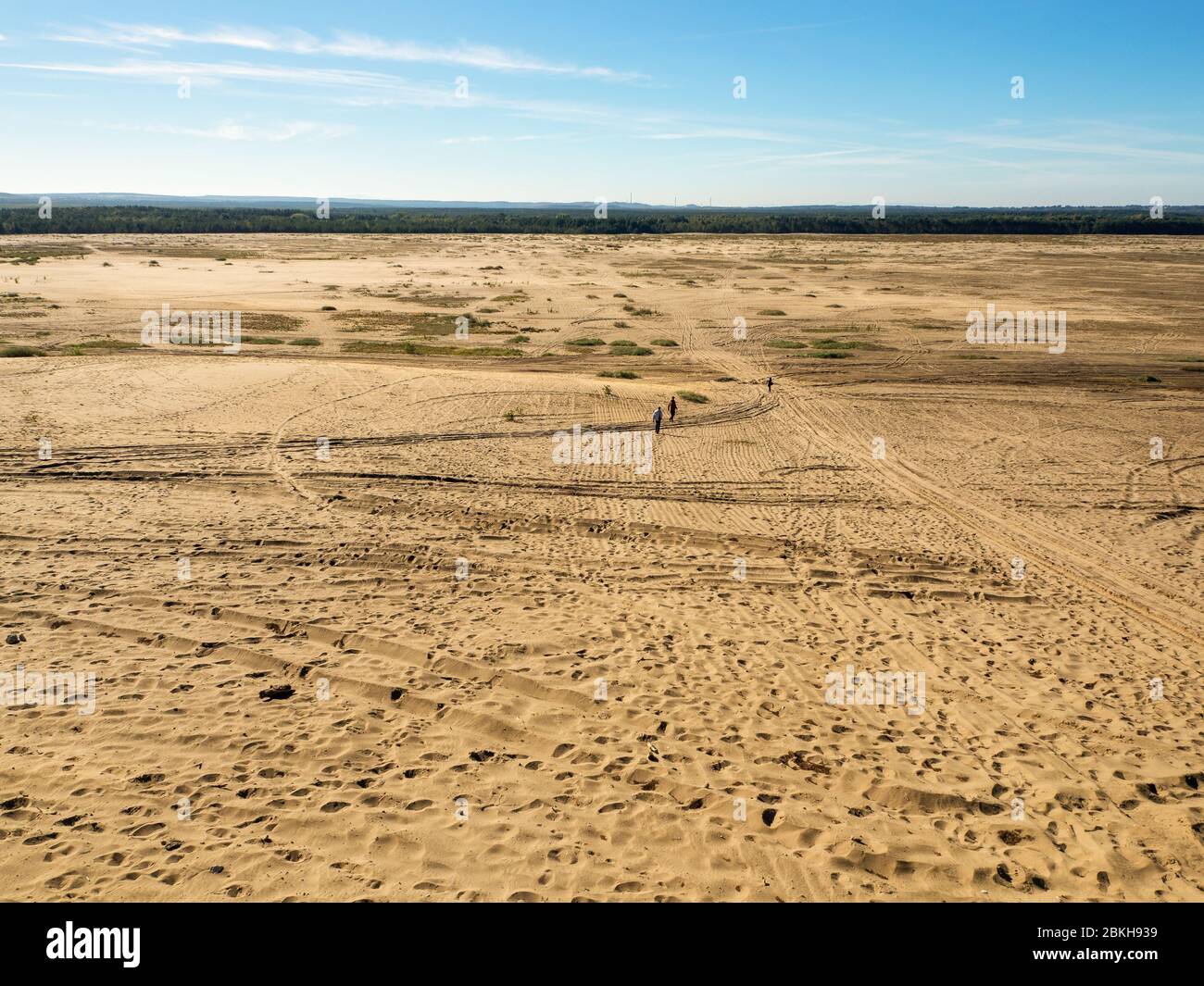 Blendow Wüste (Pustynia Blendowska) in Polen. Das größte Binnenland, weit weg von jedem Meer, Gebiet von losem Sand in Mitteleuropa. Einzigartige Touristenattraktion Stockfoto