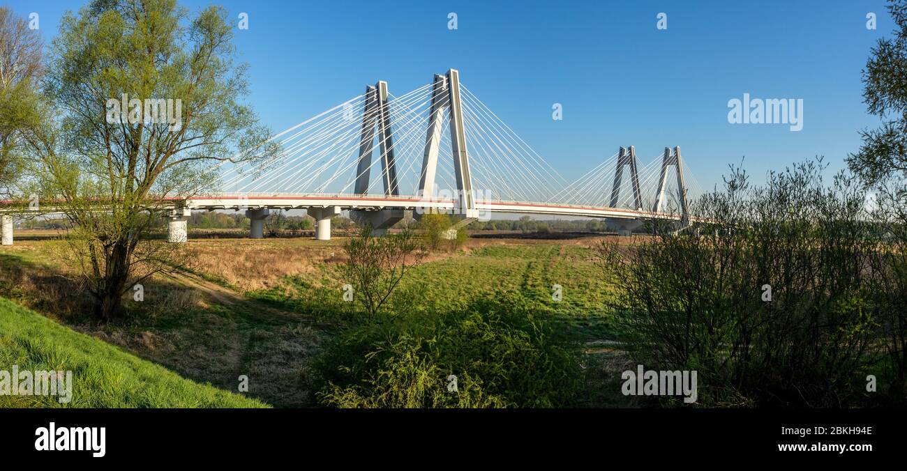 Moderne Doppelbrücke mit Kabelstegbrücke über die Weichsel in Krakau, Polen. Breites Panorama bei Sonnenaufgang mit Bäumen Stockfoto