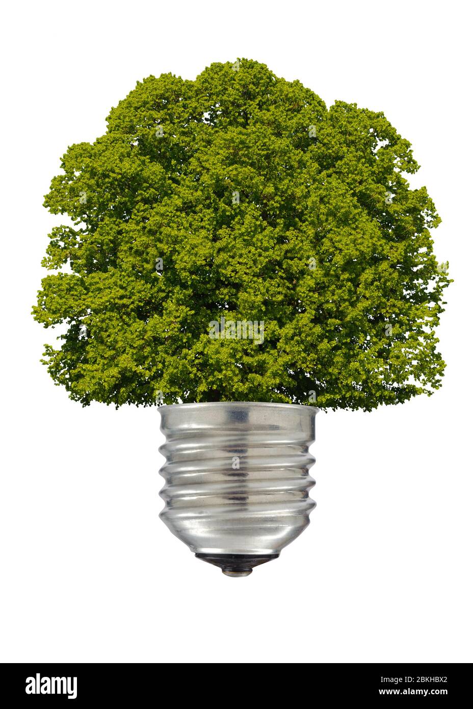 Symbolische erneuerbare Energie mit Baum in Glühbirne Stockfoto