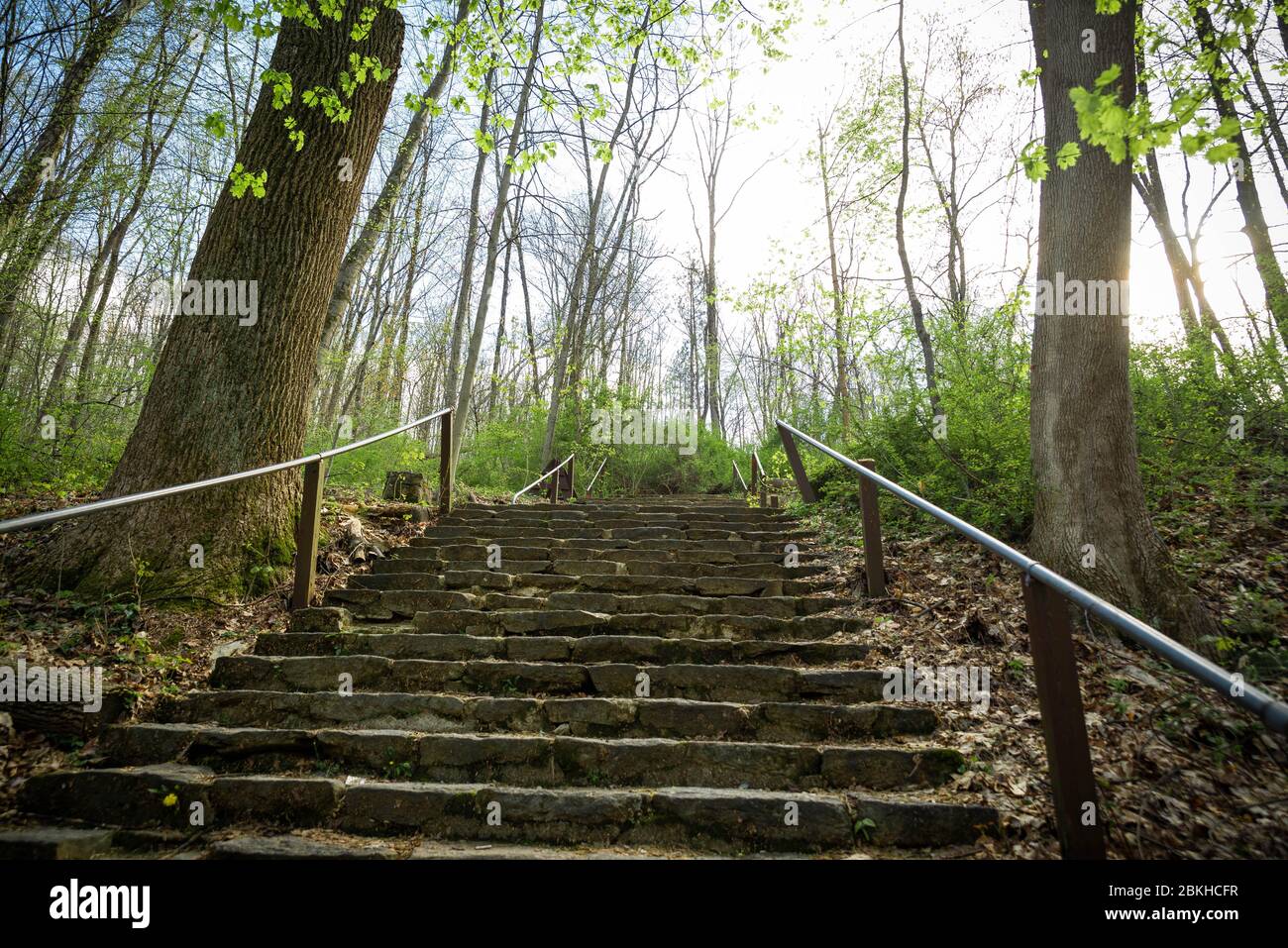 Hacklebarney State Park zwei Treppen zum Park Stockfoto