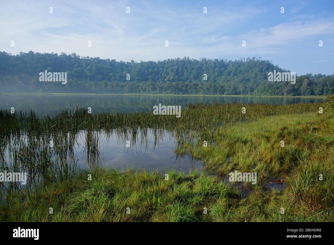 Der Taman Hidup-See an den Hängen des Monte Argopuro hat eine natürliche Schönheit, die noch nachhaltig ist und als Wasserquelle in der Gegend gilt Stockfoto