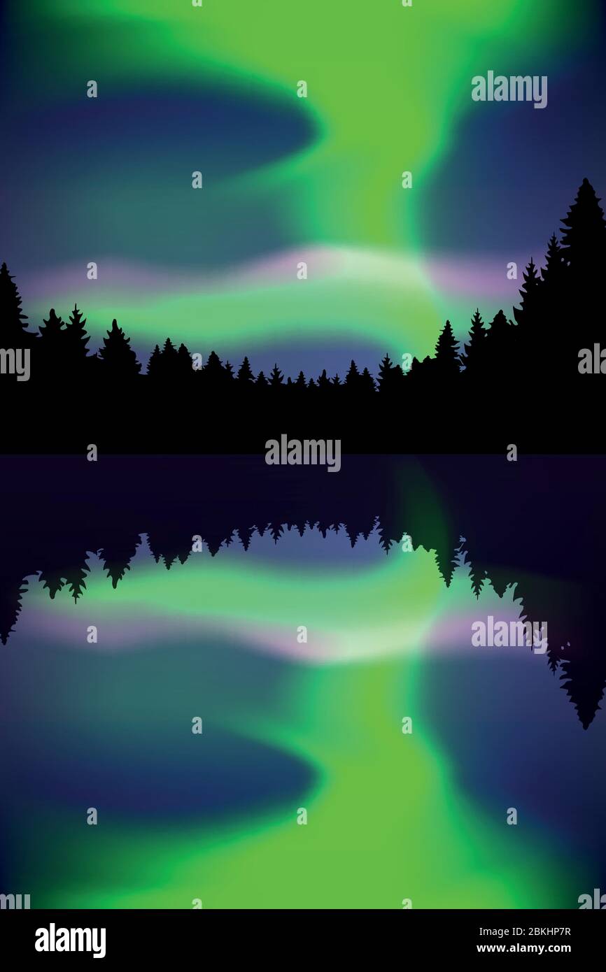 Schöne Polarlichter am See im Wald Vektor-Illustration EPS10 Stock Vektor