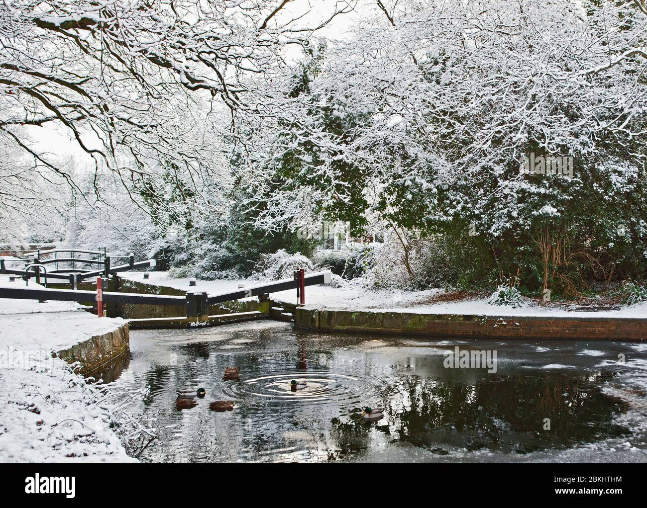 Der Basingstoke Kanal in Südengland im Winter Stockfoto