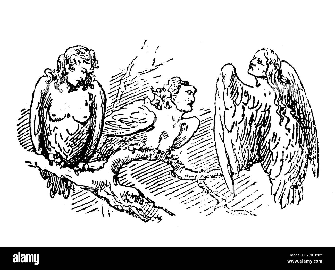 Drei Harpies, halb menschliche Wesen mit Frauenköpfen und Halbvogel mit Flügeln und Krallen, Imitation von Sturmwinden in der griechischen und römischen Mythologie Stockfoto