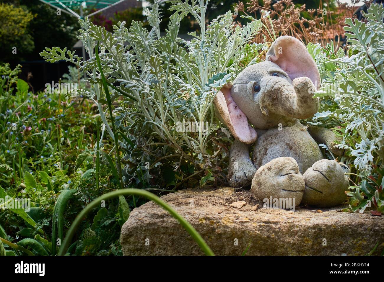 Traurige einsame Kuscheltier Elefant verlassen zwischen Pflanzen sitzen auf einem Felsen in einem vernachlässigten Garten suchen verwahrlost nach oben Stockfoto