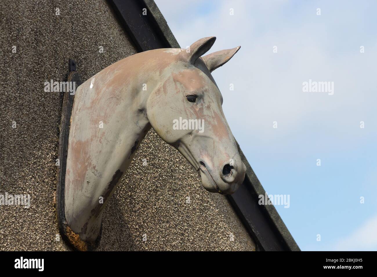 Eine Büste eines Pferdes steht auf einem Gebäude in Fife, Schottland. Stockfoto