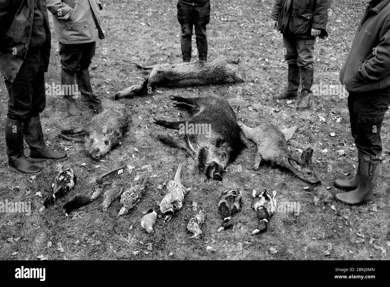 Frankreich, Indre et Loire, Vernou sur Brenne, Vuitonnière Jagdtisch, Jagdgebiet Stockfoto