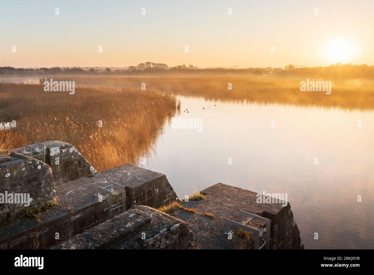 Frankreich, Finistere (29), Goulven, Goulven Bay bei Sonnenaufgang Stockfoto