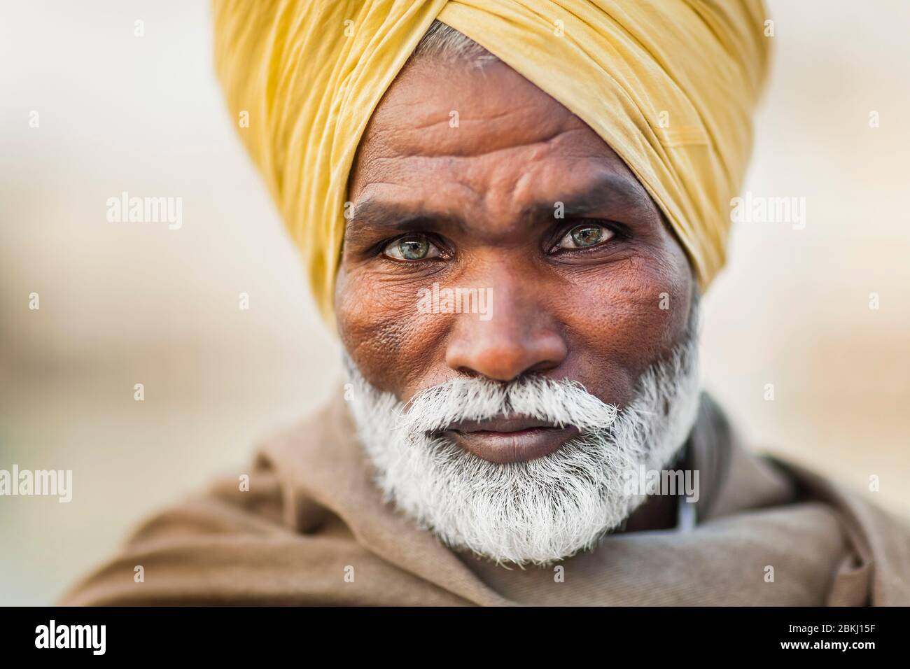 Indien, Punjab State, Amritsar, Harmandir Sahib, Nahaufnahme eines Sikh-Mannes mit durchdringenden Blicken, heiliger Ort des Sikhismus Stockfoto