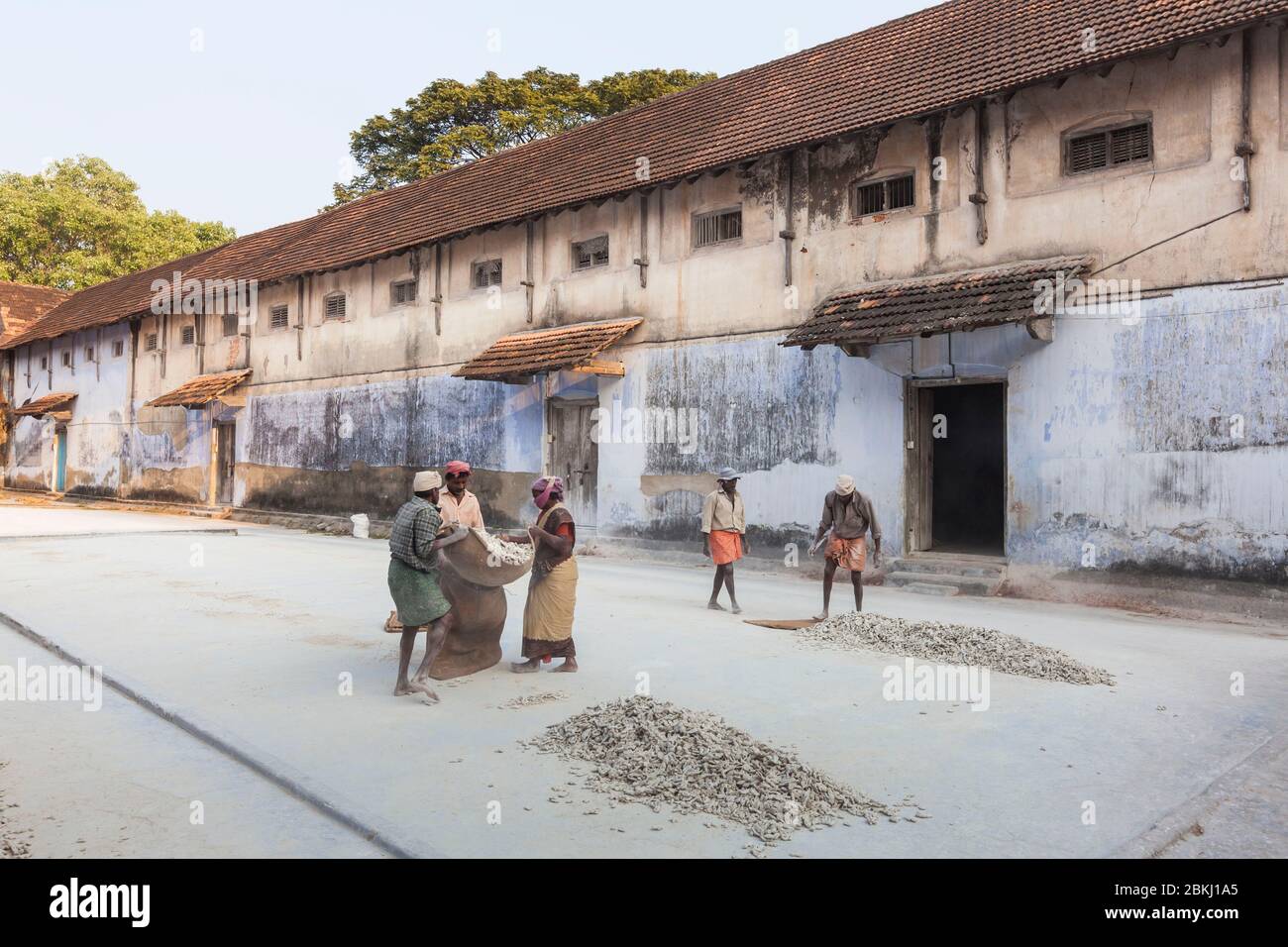 Indien, Kerala State, Kochi, Bezirk von Fort Cochin, Gewürzmarkt, Arbeiter Verpackung Gewürze Stockfoto