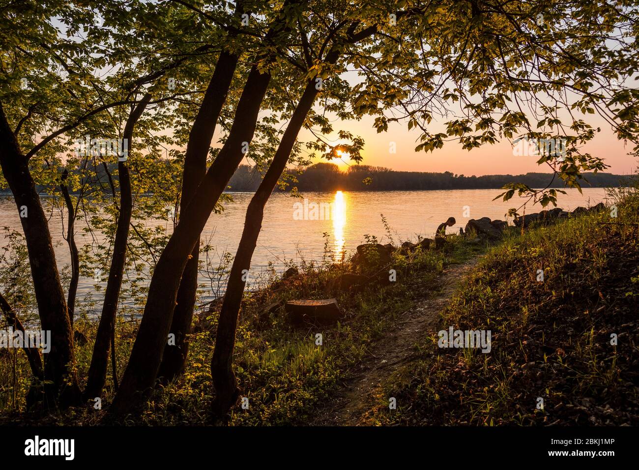 Ungarn, Kreis Bács-Kiskun, Baja, Sonnenuntergang am Donauufer Stockfoto