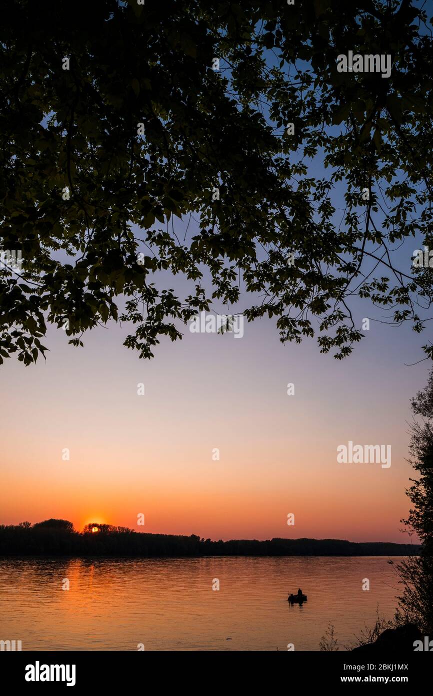 Ungarn, Kreis Bács-Kiskun, Baja, Sonnenuntergang am Donauufer Stockfoto