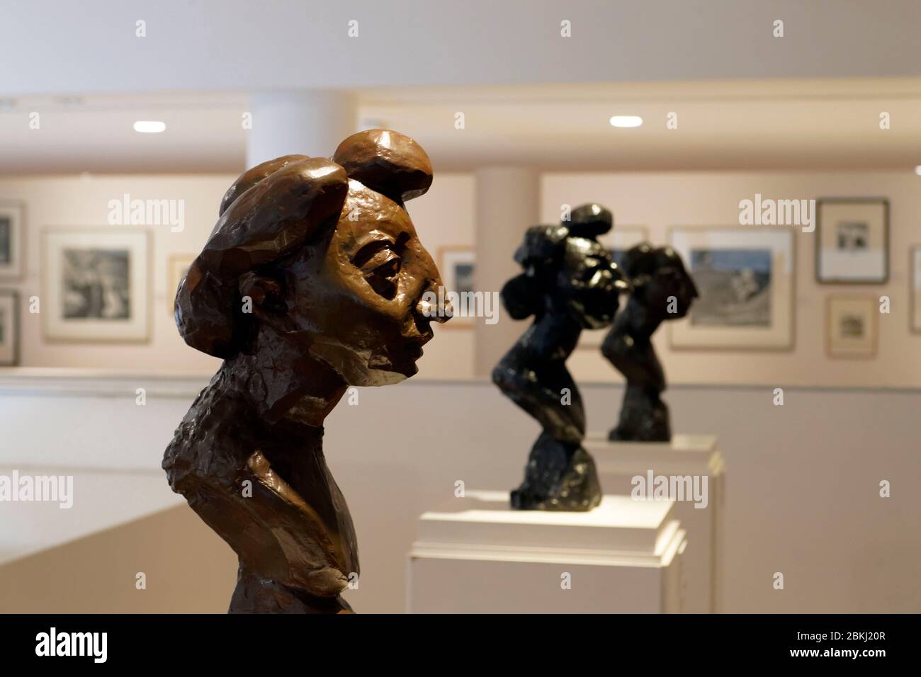 Frankreich, Alpes Maritimes, Nizza, Cimiez Hill District, das Matisse