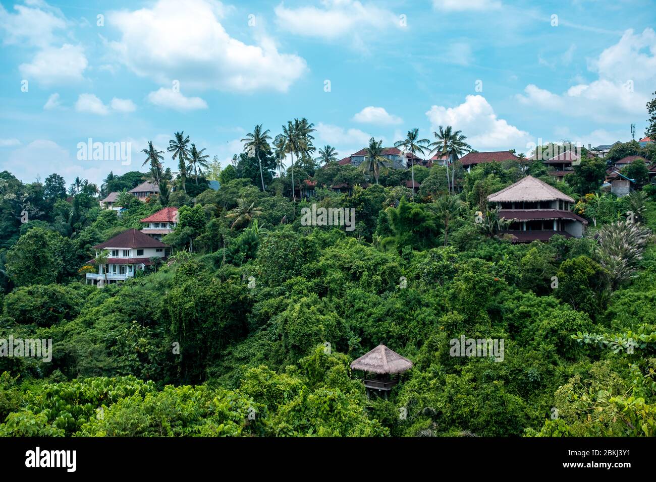 Landschaftsfoto von Ubud, Bali Island. Stockfoto