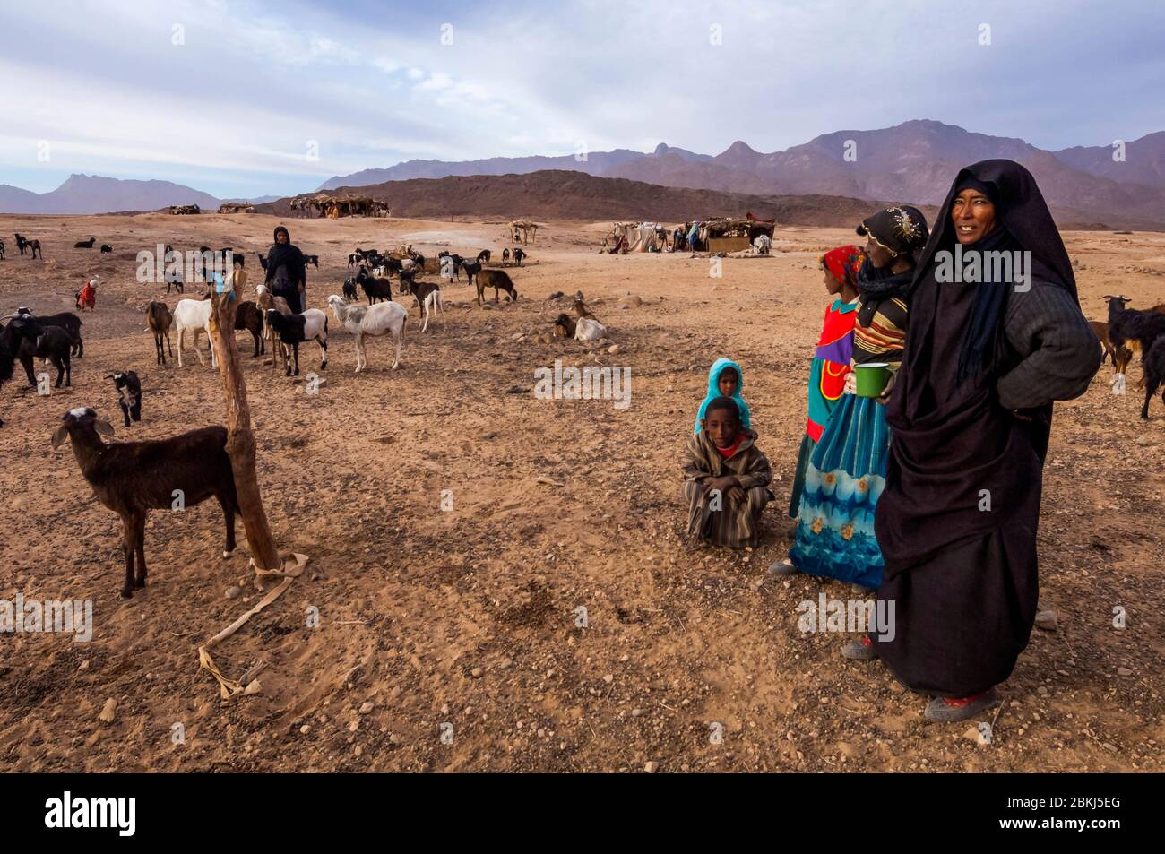 Algerien, Tamanrasset, Hoggar Sahara, schwarzes Tefedest-Massiv, Nomadenlager des Ajaj-Clans Stockfoto