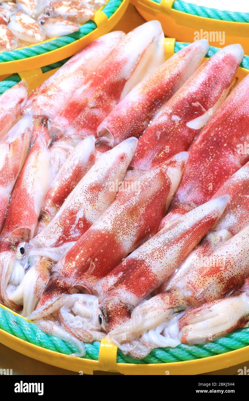 Spanien, Katalonien, Baix Empordà Costa Brava, Palamós, Fischmarkt, Calamari Stockfoto