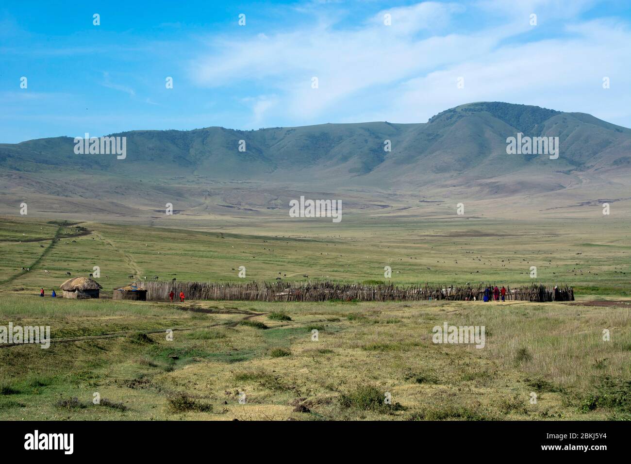 Ein Masai-Dorf im Ngorongoro Conservation Area, Serengeti, Tansania Stockfoto