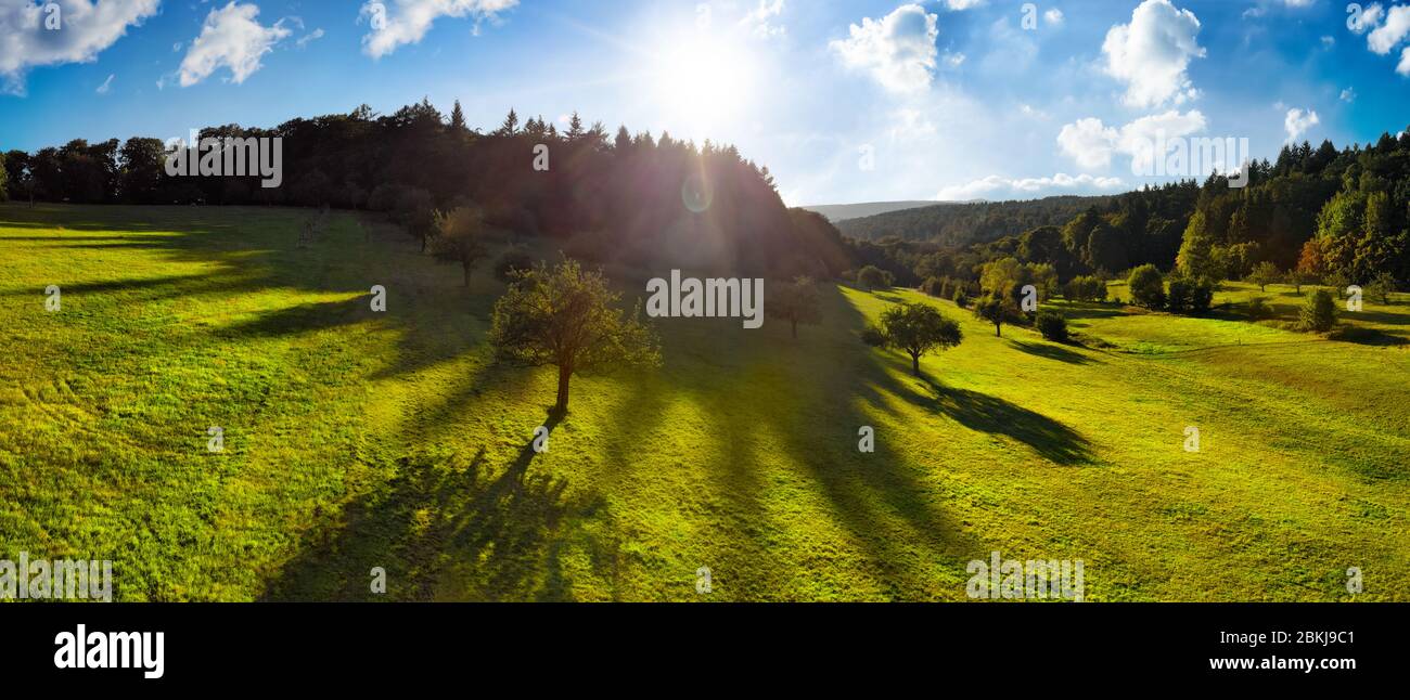 Panorama-Luftlandschaft am Morgen: Kontrastreiche Landschaft mit der Sonne am blauen Himmel, Bäume auf grünen Wiesen, die lange Schatten werfen, und dunkle Wälder Stockfoto