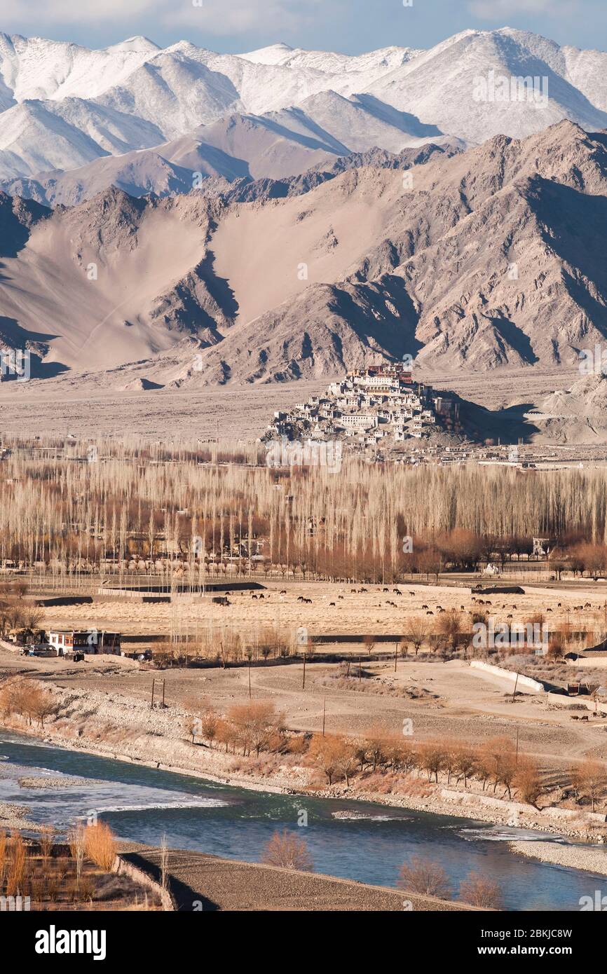 Indien, Jammu und Kaschmir, Ladakh, Indus Valley, erhöhte Ansicht von Thiksey Gompa Kloster am Fuße der Berge, von Stakna Gompa Kloster, Höhe 3600 Meter Stockfoto