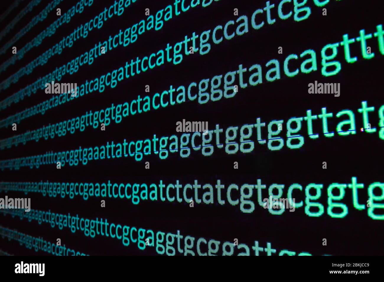 Genomische Sequenzierung. Die Abfolge der Basen in der DNA. Stockfoto
