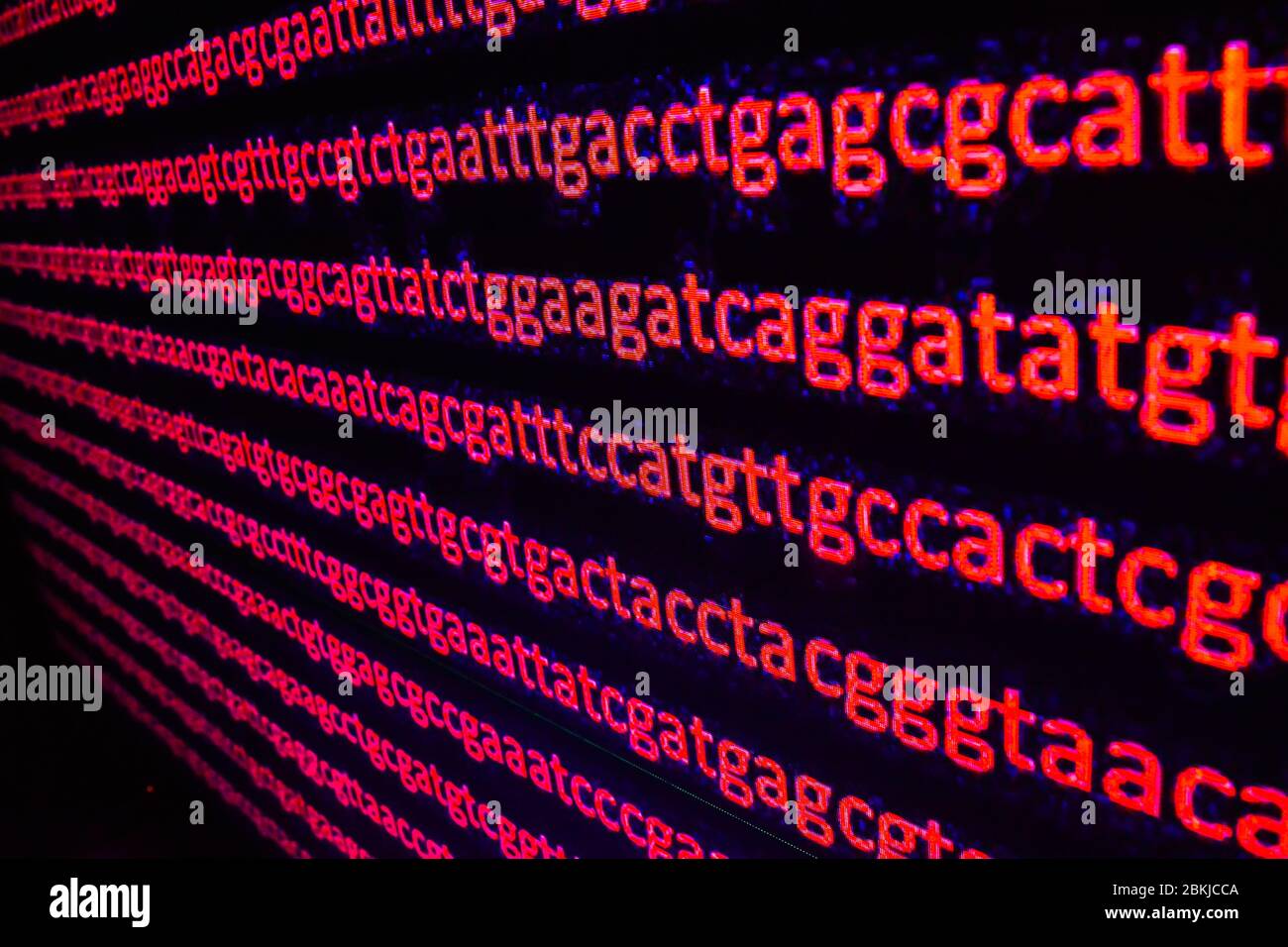 Genomische Sequenzierung. Die Abfolge der Basen in der DNA. Stockfoto