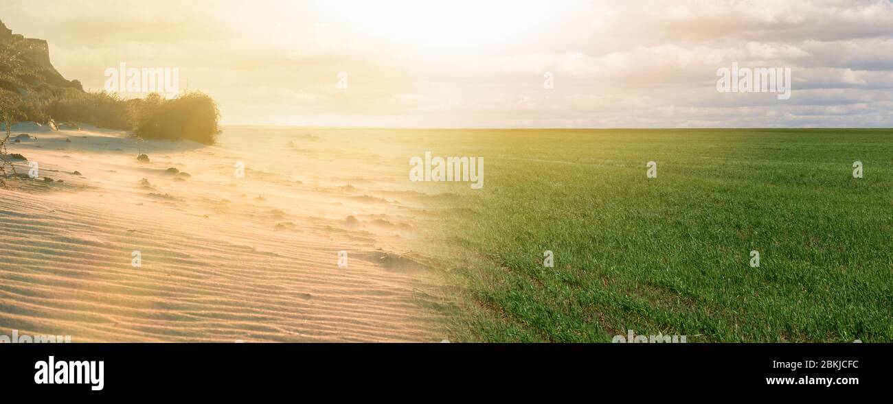 Landschaft mit halb grünen Feld und halb Wüste. Konzept der globalen Erwärmung Stockfoto