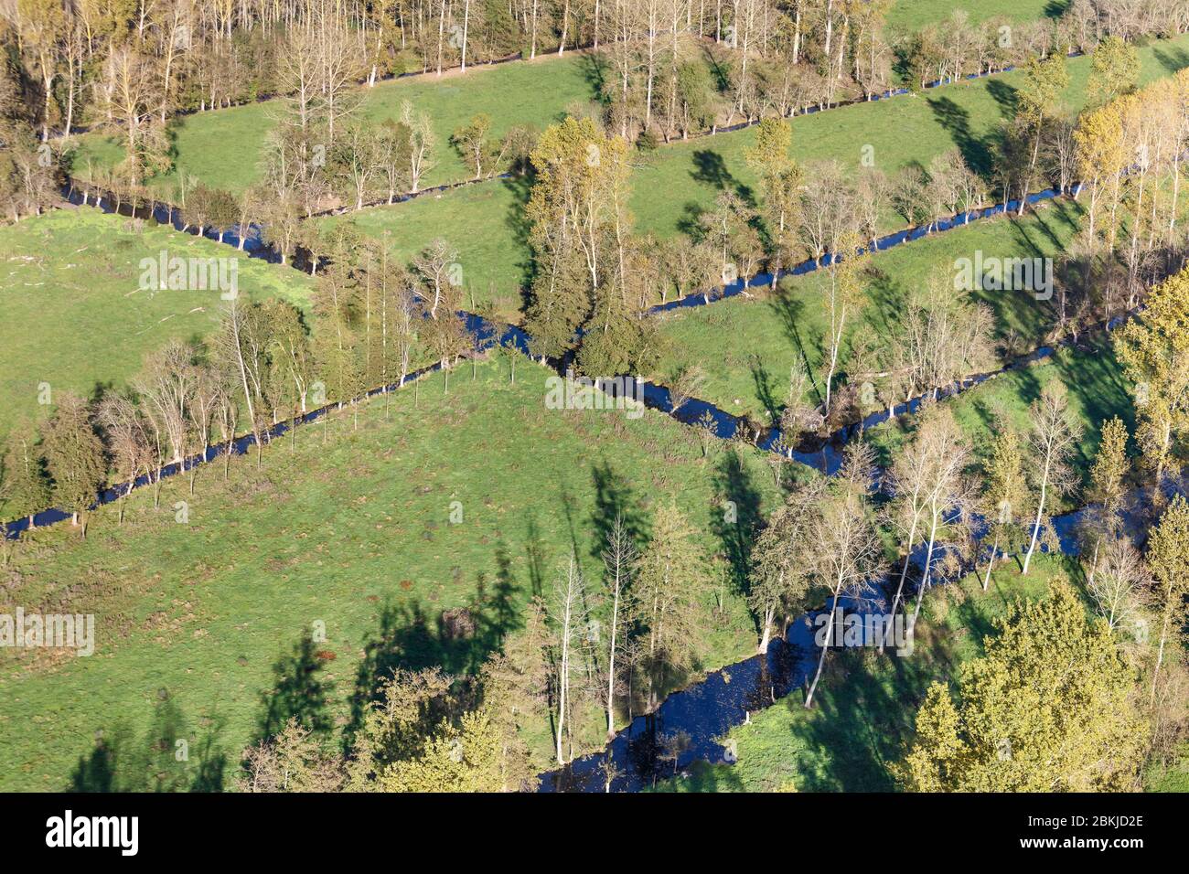 Frankreich, Deux Sevres, Sansais, Kanäle und Wiesen mit Pappeln und Kaulquaschen im Marais Poitevin (Luftaufnahme) Stockfoto