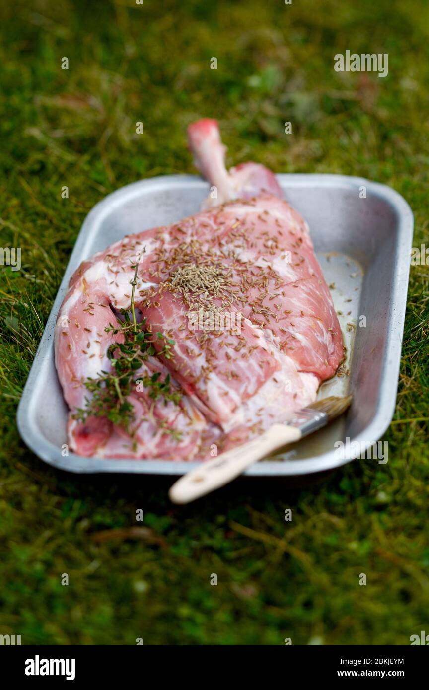 Rohes Lamm Schulter vor dem Kochen Stockfoto