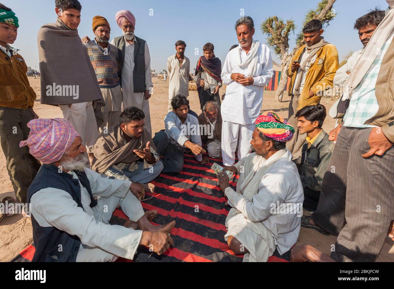 Indien, Rajasthan, Nagaur, Rindermesse, Gruppe von Kamelhändlern Umgang mit Banknoten Stockfoto