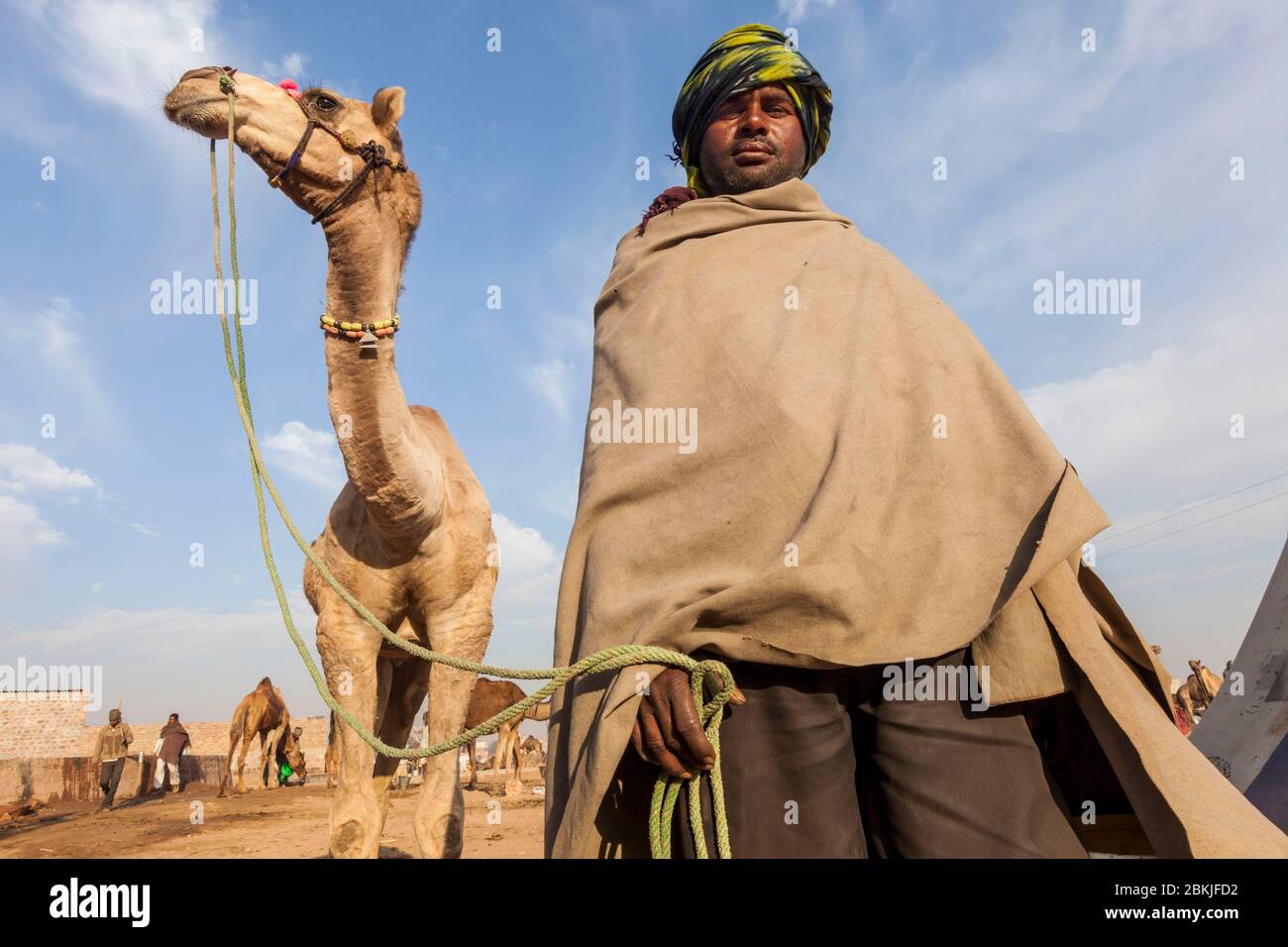 Indien, Rajasthan, Nagaur, junger Mann und sein Kamel Stockfoto