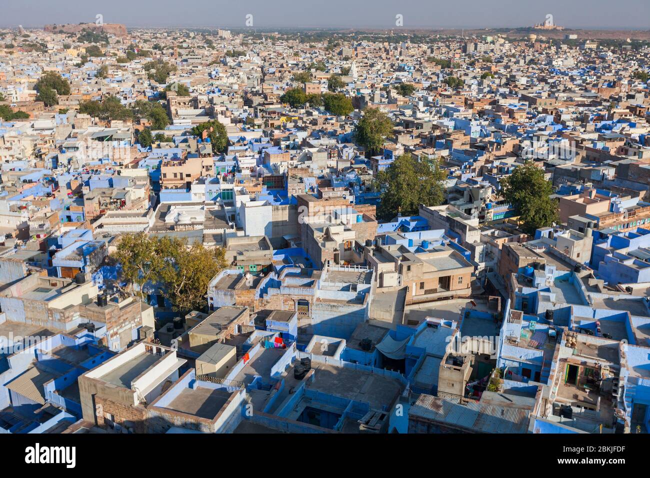 Indien, Rajasthan, Jodhpur, Pachetia Hill, erhöhte Aussicht auf die blauen Dächer der Stadt Stockfoto