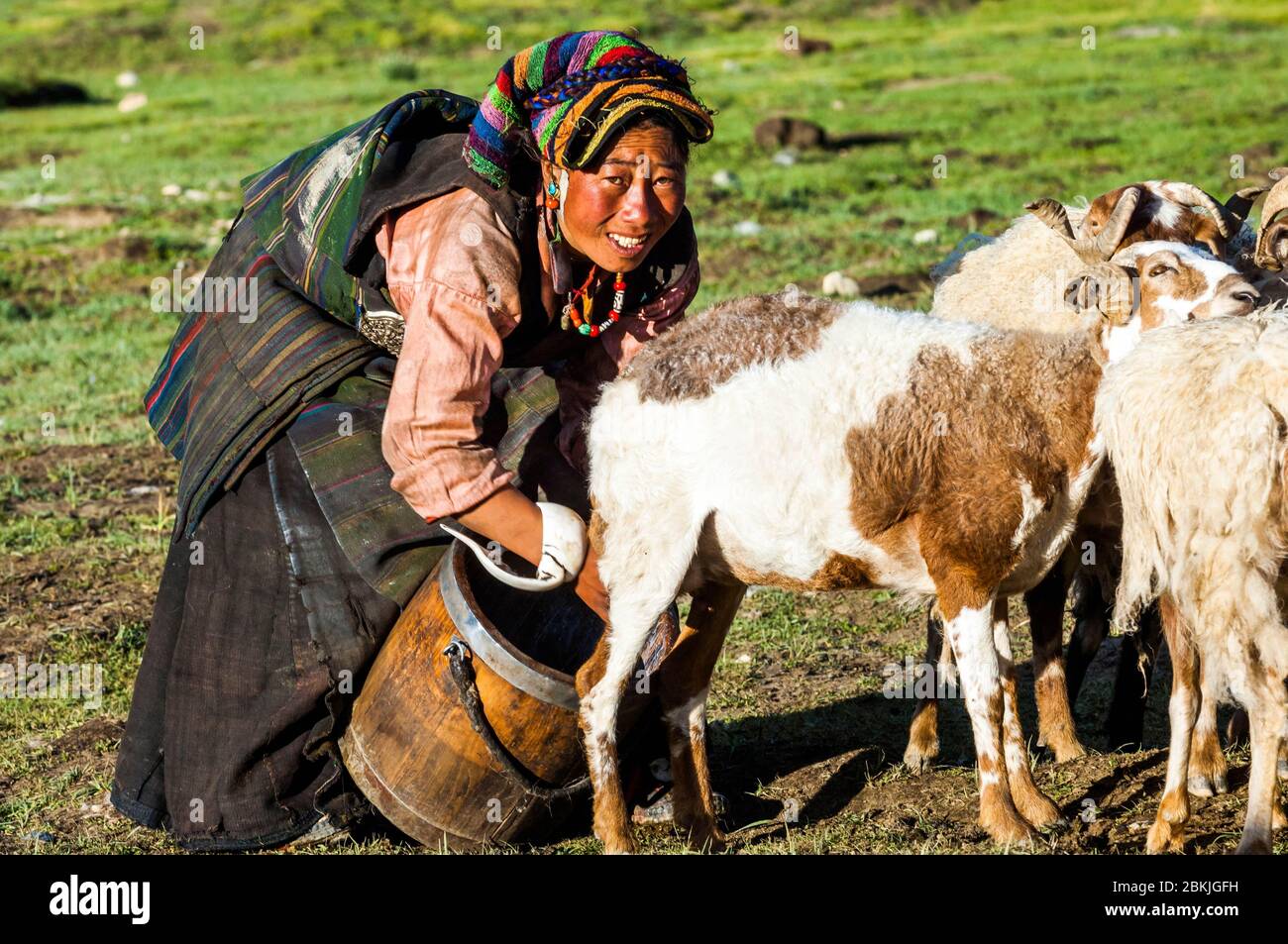 China, Zentraltibet, Ü Tsang, Nomaden in der Steppe zwischen Shigatse und Shegar, während des Melkens, mit Holzeimer und Muschelarmband Stockfoto