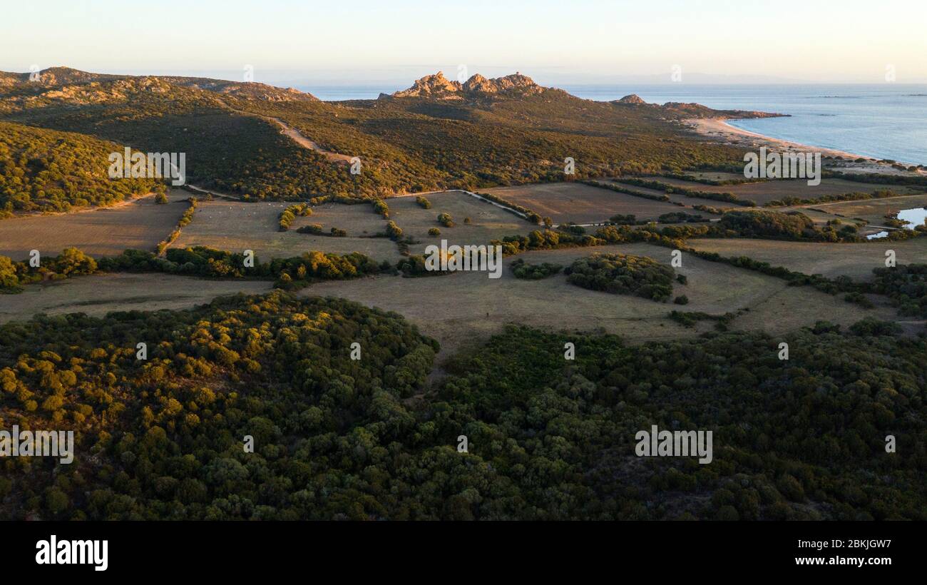 Frankreich, Corse du Sud, Domaine de Murtoli (Luftaufnahme) (obligatorische Erwähnung Domaine de Murtoli) Stockfoto